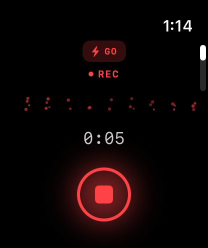 Talkie recording on Apple Watch